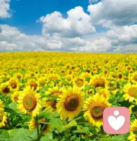 人生短暫，要善待自己，用溫暖治愈的陽光驅散生活中的陰霾，讓內心充滿愛與希望。配圖