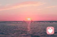 早上好，愿你的一天如诗如画，温馨而美好。配图