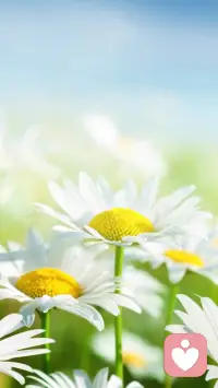 人生的困境，有时是自己编织出来的蜘蛛网。人生的绝境，往往也都是你内心创造出来的假象。其实，生命里那些让你过不去的境遇，都是未来让你成长蜕变的养分。那些你创造出来的假象，都是你为将来成功而铺设的垫脚石。配图