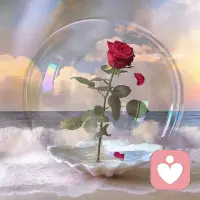 在每个人的内心深处，都有一个梦想，那就是生活给我们的最美礼物。配图