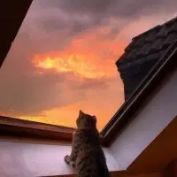 在這個世界上，總有一些東西是永恒的，是治愈人心的。比如：陽光、微風、微笑、擁抱以及那一份真摯的愛。配圖