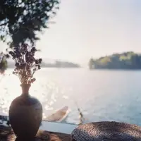 早安，愿你的心情如同清爽的早晨，明亮而愉快，為新的一天帶來無盡的美好。配圖