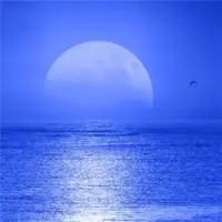 內心平靜是一種內在的力量，它能夠讓我們在面對挑戰和壓力時保持鎮定和自信。配圖
