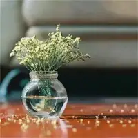 簡單的生活，就像一壺清茶，淡淡的，卻有深深的滋味；無需繁華的裝飾，卻能深深的打動人心。配圖