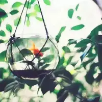 人生的路很長，要靠自己去選擇，去努力，去堅持。心態決定一切，好的心態帶來好的人生。配圖