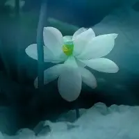我覺得。不管做什么事。盡人力。聽天命。得而不喜。失而不憂。此乃。快樂人生之根本配圖