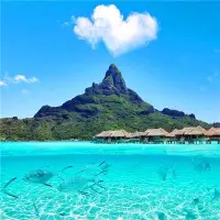 我們曾非?？释\的波瀾，到最后才發現，人生最曼妙的風景，竟是內心的淡定與從容。我們曾非常期盼社會的認可，到最后才知道世界是自己的，與他人無關。配圖