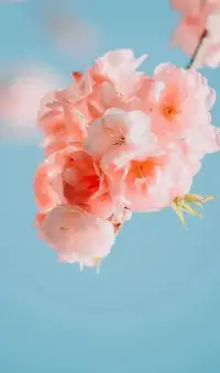 永遠(yuǎn)對(duì)生活充滿希望，不管遇到什么困難，微笑面對(duì)。配圖