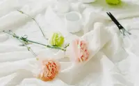 順其自然，高度信任自己的生命力，是一種大徹大悟。謹小慎微，既不敢吃甜的，又不敢吃咸的，怎能生活呢？人生的幸福，一半得益于人助，另一半得益于助人。配圖