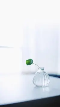 簡單平常的生活，也是一種幸福。只要有品位、有思想、有關切事和物。配圖