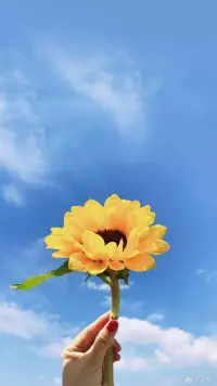 早安！即使是最微弱的光芒，也能照亮前行的方向，愿你的早晨充滿陽光。配圖