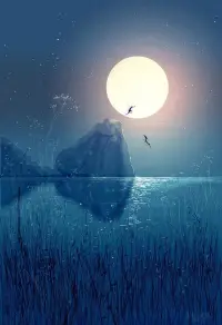 繁星點點，月光灑滿，伴你入眠。今夜無風無雨，愿你安然入睡，做個好夢。晚安，我心中的溫暖。配圖