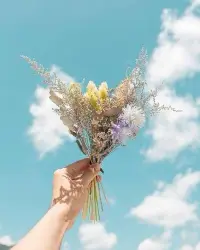 人生感悟，就是懂得放下，珍惜當(dāng)下。不為過去后悔，不為未來擔(dān)憂，活在當(dāng)下，享受每一個瞬間。配圖