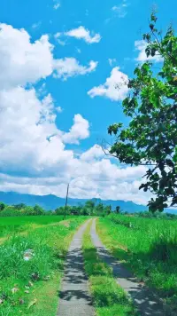 陽光總在風雨后，勇往直前方能收獲成功與快樂。配圖