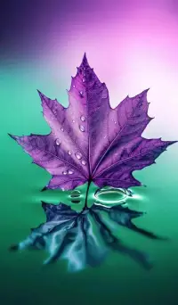 走自己的道路，看自己的風景。 花開不喜，坦蕩為人； 葉落不悲，尊重他人。配圖