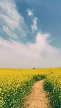 因?yàn)橛谢冢耘谴髟拢灰驗(yàn)橛袎?mèng)，所以?shī)^不顧身。早安！配圖