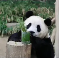 这个世界是永远比你想得更精彩的，不要败给生活，趁你还有时间，尽你最大的努力，做成你最想做的那件事，成为你最想成为的那种人，过你最想过的那种生活。配图