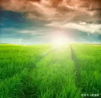 當黎明的太陽升起，美好的一天又開始了！生活就像減法，每一頁撕去，都不可以重來，所以珍惜每一天，明天你會感謝今天拼命的自己。早安！配圖