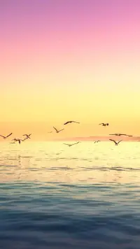生活是平衡的，你不為賺錢辛苦，就要為省錢發(fā)愁。早安！配圖