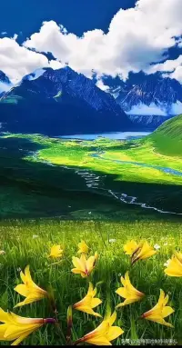 用心去感受生活的每一個瞬間，隨心所欲地去追求心中的夢想。配圖