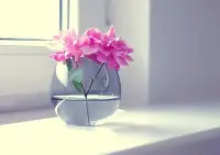 生活如果不寵你，更要自己善待自己。這一生，風雨兼程，就是為了遇見最好的自己，如此而已。早安！配圖