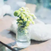 把時(shí)光填滿，不為懊悔留一絲空隙。在這場旅途中享受最多的美好時(shí)光，就是才智。周末愉快！配圖