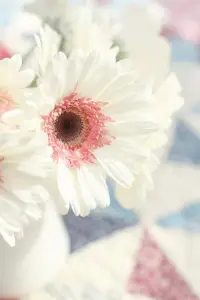 要相信奇跡，同時也要付出努力，因為努力能夠創造奇跡。早安！配圖
