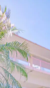 生活的美好不在于繁華，而在于內心的平靜。簡單生活，回歸真實的自我。配圖