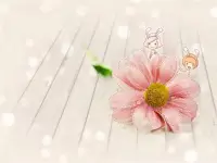 生活就像一杯茶，苦涩之后才会带来清甜，熬过低谷，才能收获最美的风景。配图