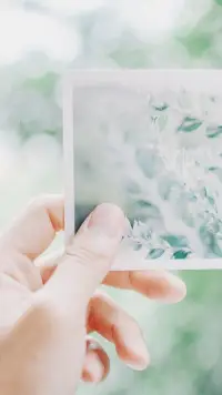 不要被别人的期望束缚，做自己喜欢的事，活出自己的精彩才是最重要的。配图