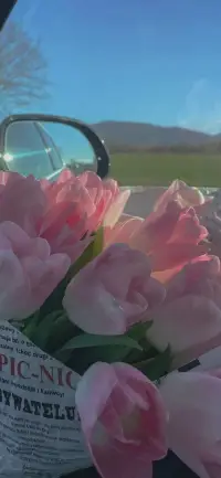 縱使人生有著許多遺憾，如果你能平靜的注視自己，無(wú)論平凡還是偉大，你的生命都會(huì)被賦予不菲的價(jià)值，因?yàn)槲覀円呀?jīng)能夠回答自己人生的命題了。人生沒有草稿，每一步都應(yīng)是彌足珍貴，步履芬芳。配圖