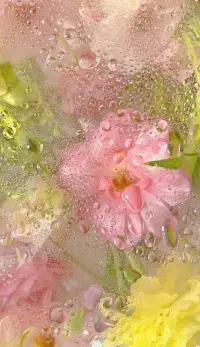 時間易逝，歲月流連；憶往昔，歲月如歌，歌如夢；再回首，往事重重，在心中。歲月如酒，年少不知輕狂，白頭難解虛妄。配圖