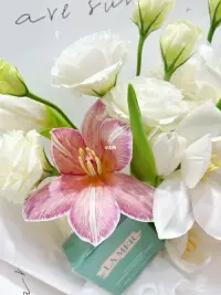 你之所以經常感覺艱辛，老是否定自己，仿佛什么事都做不好。并不是由于你自身不足優秀。只是由于，你總惦記著能得到別人的認可。知不知道這個世界上最艱辛的事是什么？是活成別人的希望。配圖