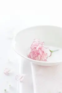 踏踏實實地過好每一天。人生的得與失，成與敗，一切都是過眼云煙。但很多人卻不以為然，活著看似容易其實不是那么簡單，緣分變幻，總是看不到真情實感；世態炎涼，總是讀不懂人情冷暖。配圖