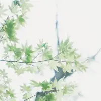 盡己力，聽天命。無愧于心，不惑于情。順勢而為，隨遇而安。知錯就改，迷途知返。在喜歡自己的人身上用心，在不喜歡自己的人身上健忘。如此一生，甚好。配圖
