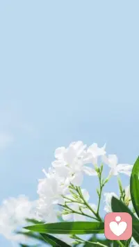 美好的東西，總不會隨便獲得。成長靠的從來不是豪言壯語，只是踏踏實實的努力。別再讓信誓旦旦變成“說說而已”，真正去堅持一件事，時間看得見。配圖