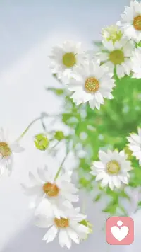 成熟不是年紀的增長，而是對生活的理解。經歷過風雨，才會懂得陽光的可貴配圖