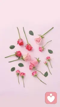 不必?fù)?dān)憂失去，不必?zé)垃嵤?，?yáng)光哪兒都能曬，活水到處可流，讓心里的陰暗直面太陽(yáng)，讓臟污的身心沐浴海洋。配圖