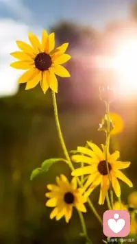 無論將來遇到誰，生活都是從遇見自己開始的。配圖