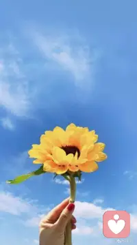 未來的日子里，愿你特別美，特別敢，特別堅韌，特別溫暖，即使暫時辛苦，也依然有勇氣選擇過那種滾燙的人生。配圖