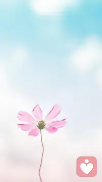 人這一輩子，有些夢是遙不可及的，人的心境成長是一個逐漸接受的過程，知道自己能追求的是什么，知道不能強求的是什么。而后，做一個豁達的人。配圖