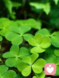 順其自然，人生會順暢很多，豁達(dá)以對，世界會溫柔很多。配圖