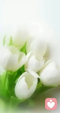 生命匆匆，不必委曲求全，不要給自己留下遺憾，以自己喜歡的方式生活，做自己喜歡做的事，寵愛自己，做一個獨特的自己才是最重要的。配圖