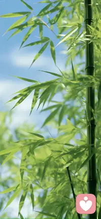 努力的最大好处，就在于你能选择你想要的生活，而不是被迫随遇而安。配图