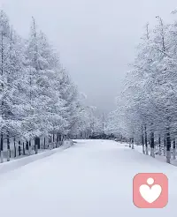 下雪天，整个世界变得柔和而神秘，每一步脚印都是探索冬日奇境的勇敢足迹。配图