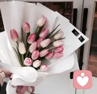 无论世界是否待你温柔，请保持住你的善良，因为好运会与你不期而遇。配图