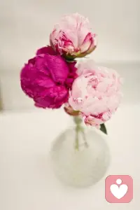 早晨睁开眼，新的一天开始了。要心如花开，面露微笑，一路芬芳，一路向暖，微笑就是最美的修行。不言时光薄凉，只与阳光相依，微笑前行。每天善待自己，不被别人左右，也不去左右别人，努力做最好的自己。