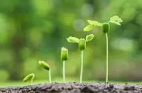 請記住給你力量的咒語：
我不再回應惡意
我永遠無條件的愛自己
我允許自己毫無負罪感的休息
我可以不符合別人的期待
我永遠有重新開始的勇氣
我值得一切最好的東西
我已經很棒了
我所焦慮的都將是虛驚一場
我敢放棄一切，敢傷害我的人事
我遠離一切讓我內耗的關系
我是我人生中的大主角
我勢不可擋…配圖