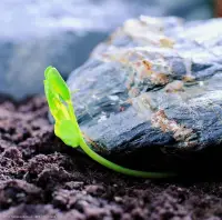 請記住給你力量的咒語：
我不再回應惡意
我永遠無條件的愛自己
我允許自己毫無負罪感的休息
我可以不符合別人的期待
我永遠有重新開始的勇氣
我值得一切最好的東西
我已經很棒了
我所焦慮的都將是虛驚一場
我敢放棄一切，敢傷害我的人事
我遠離一切讓我內耗的關系
我是我人生中的大主角
我勢不可擋…配圖