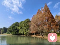 世界上最好的六个医生：
·阳光
·休息
·锻炼
·饮食
·自尊
·真正的朋友配图